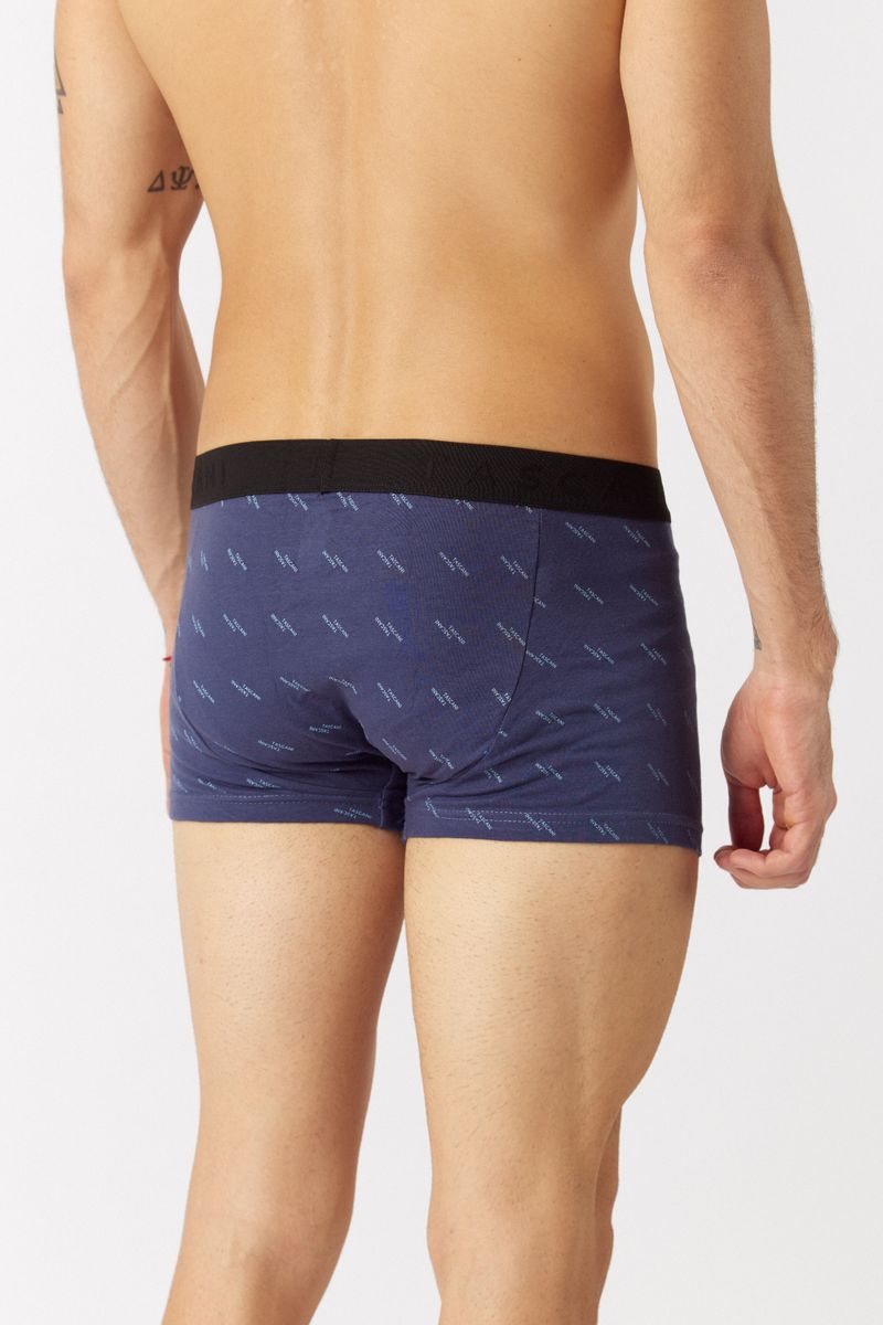 BoxerVionAzul